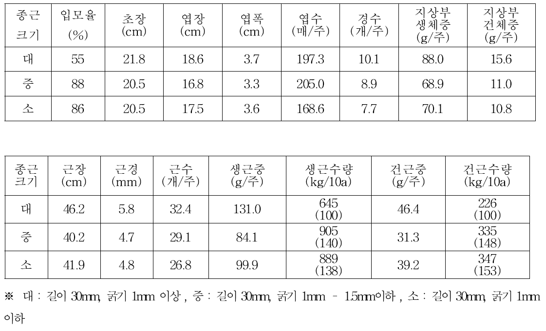 종근크기별 생육 및 수량