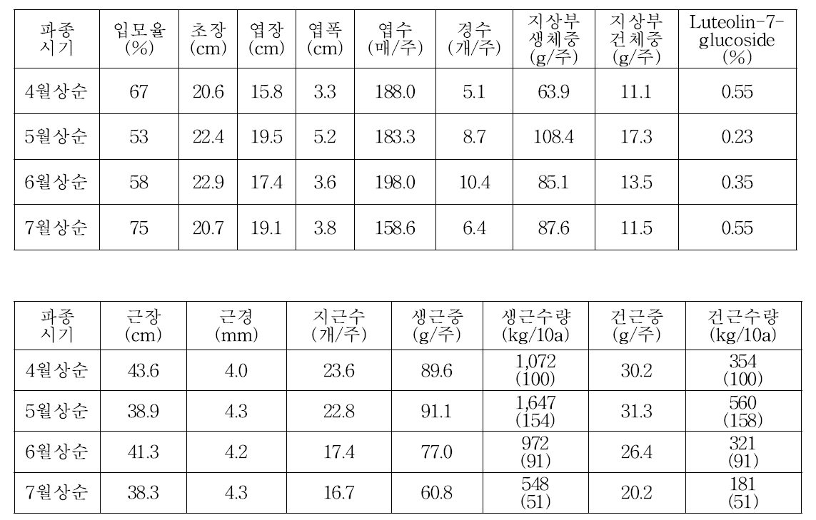 정식시기별 생육 및 수량