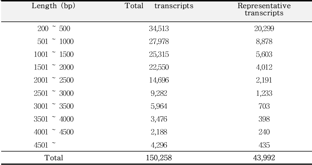 최종 어셈블리 된 transcripts의 길이 별 분포