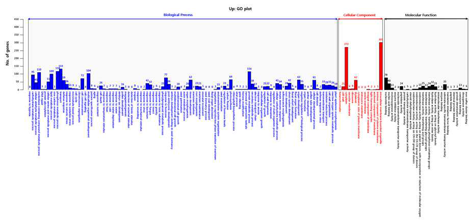 Up-regulated DEGs에 해당하는 Gene Ontology의 bar plot