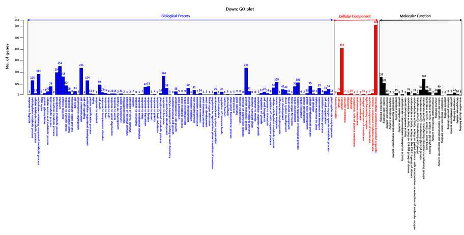 Down-regulated DEGs에 해당하는 Gene Ontology의 bar plot