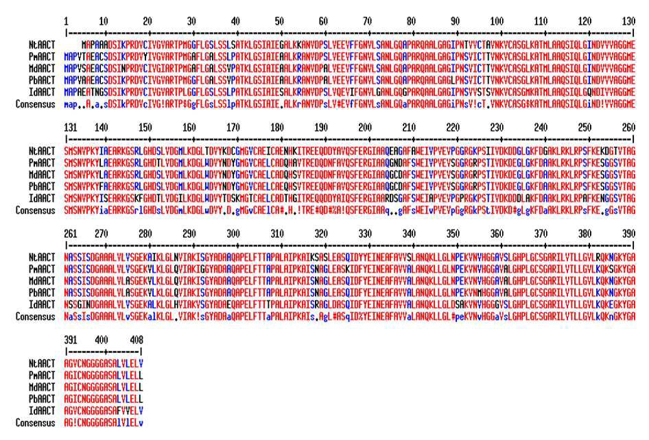 Multi-alignment of amino acid sequences of IdAACT with other AACTs