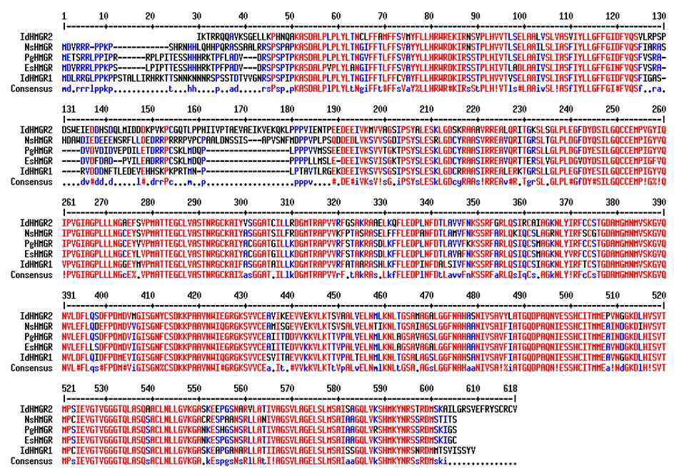 Multi-alignment of amino acid sequences of IdHMGR with other HMGRs