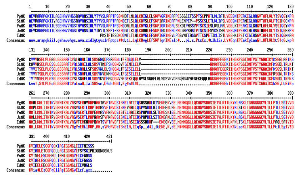 Multi-alignment of amino acid sequences of IdMK with other MKs