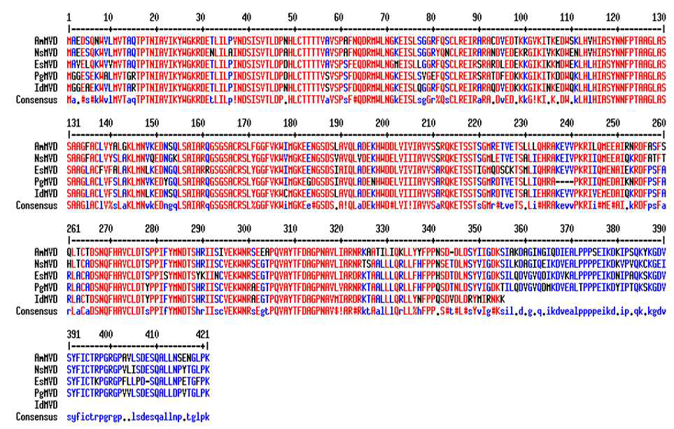 Multi-alignment of amino acid sequences of IdMVD with other MVDs