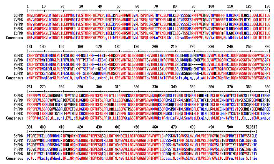 Multi-alignment of amino acid sequences of IdPMK with other PMKs