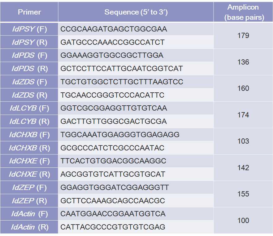 Primers used for real-time PCR