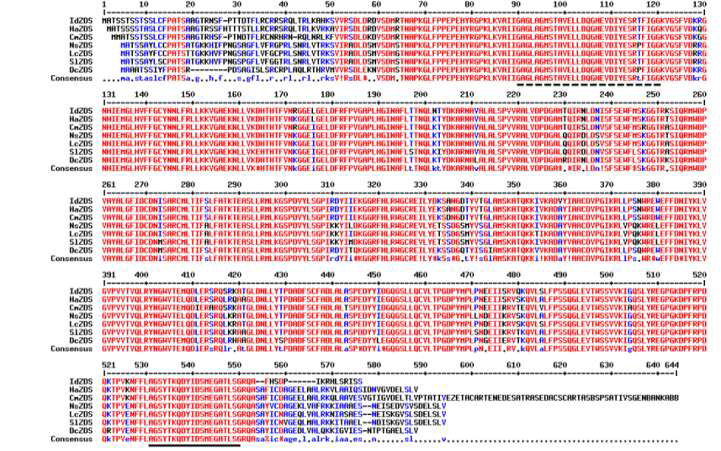 Multiple sequence alignment of I. dentata ZDSs with other plants. Genbank Accession Numbers are: HaZDS, Helianthus annuus, CAD55814; CmZDS, Chrysanthemum x morifolium, BAE7955; NsZDS, Nicotiana sylvestris, XP_009792956; LcZDS, Lycium chinense, AIZ50712; SlZDS, Solanum lycopersicum, NP_001234383; DcZDS, Daucus carota, ABB52070; IdZDS, Ixeris identata)