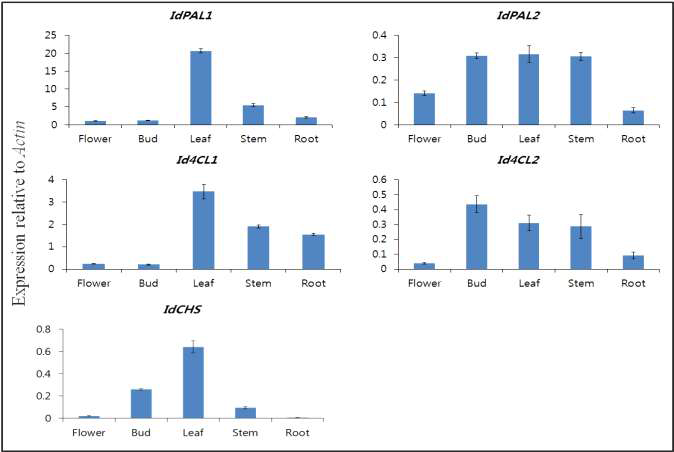 Transcript levels of phenylpropanoid biosynthetic genes in the flower, bud, leaf, stem, and root of from I. dentata. The height of each bar and the error bars indicate the means and standard errors, respectively, based on 3 independent measurements