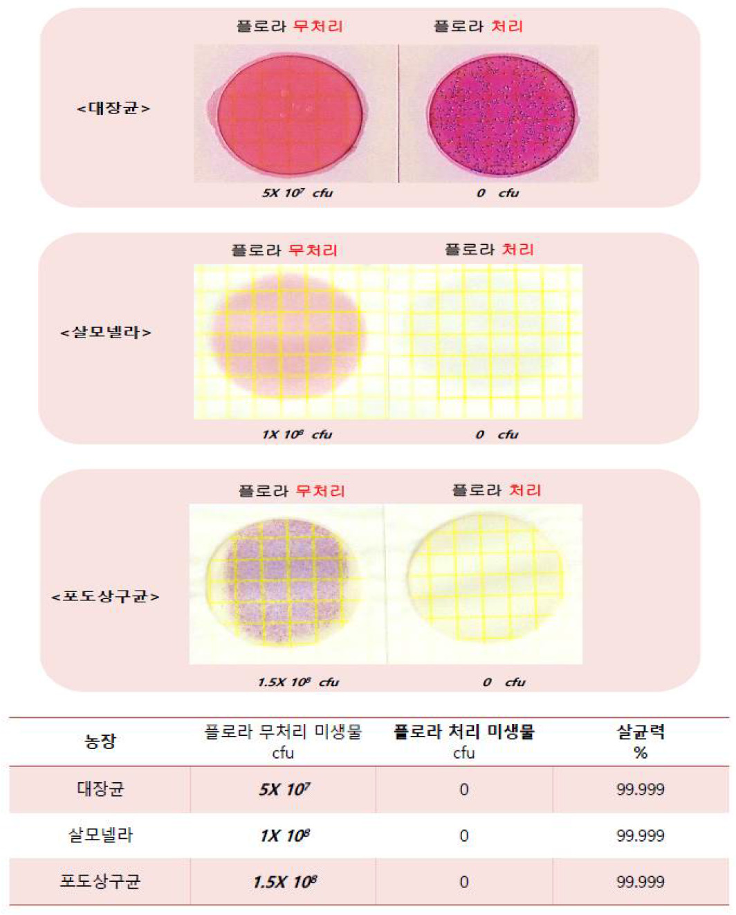 씀바귀추추물함유 손세정제의 미생물 억제 효과