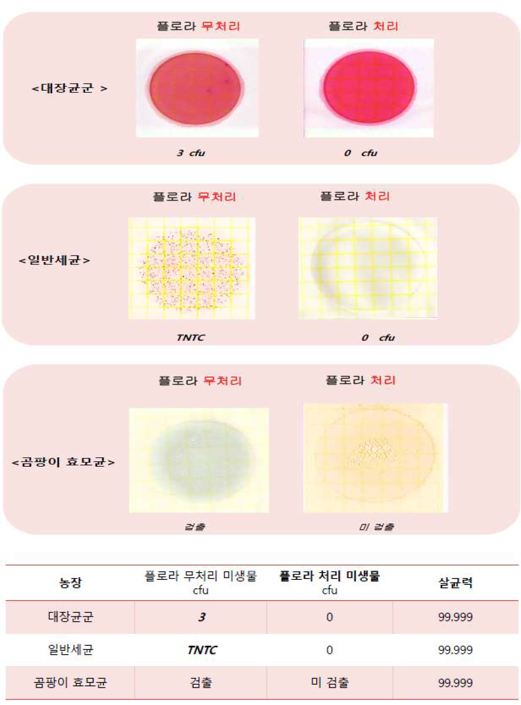 씀바귀추추물함유 손세정제의 화장실 서실 미생물 항균효과