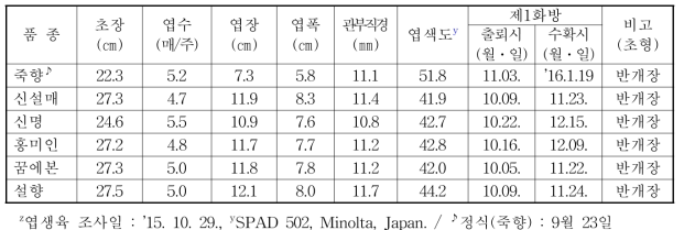 국내 육성 딸기 수출 유망 품종 생육특성(‘15∼‘16, 1년차)