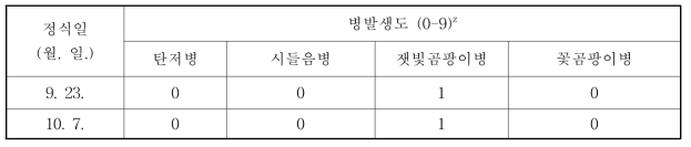 수출 유망 신품종 ‘죽향’의 정식시기별 병 발생도