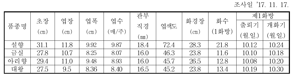 수출딸기 유망 품종 생육특성