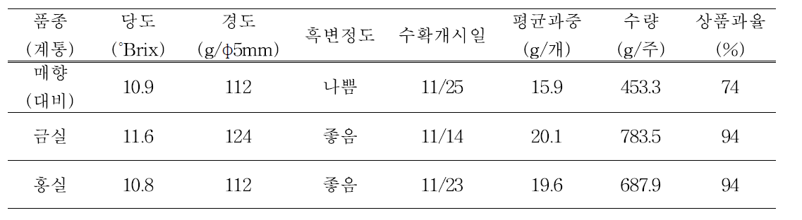 매향(대비), 금실, 홍실 품종(계통) 특성