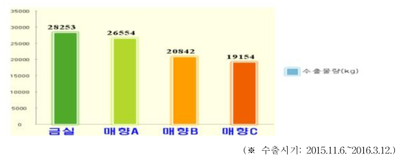 매향과 금실의 수출물량 비교(면적: 하우스 6동) (1년차)