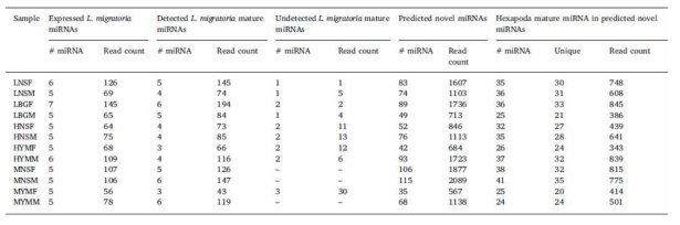 pre-miRNA와 mature miRNA들 정리 결과