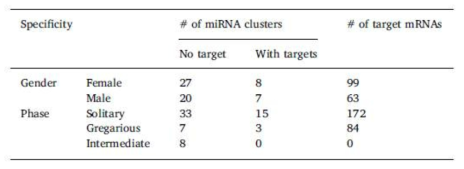 성별 또는 다형현상 특이적인 miRNA들