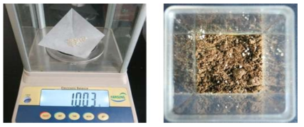 곤충병원성 진균 granule을 토양에 처리하는 모습