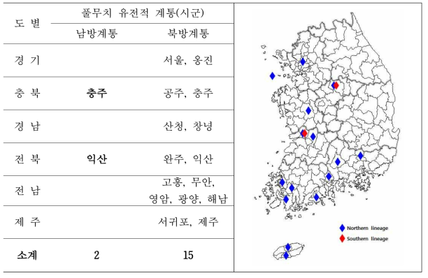 한국산 풀무치의 유전적 계통