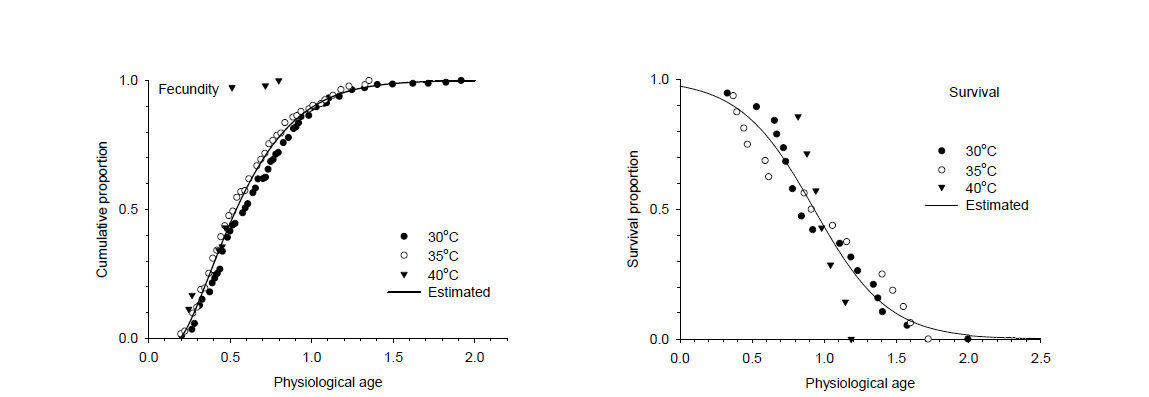 풀무치 성충 생리연령별 누적산란율과 생존율 변이 모델