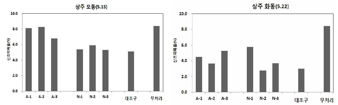 처리별 신초에 대한 애무늬고리장님노린재 방제효과