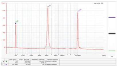 Bioanalyzer를 이용한 library QC 결과