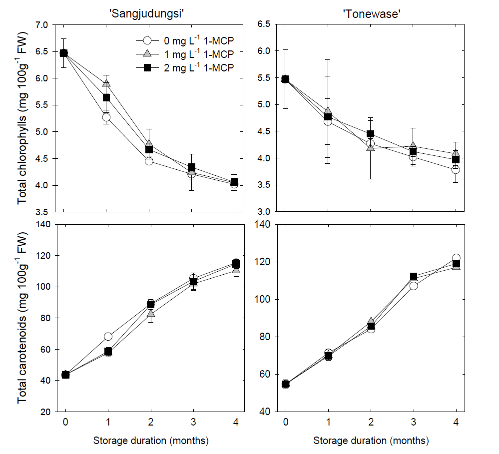 Effects of 1-MCP treatments on total chlorophylls and total carotenoids contents in ‘Sangjudungsi’(left panel) and ‘Tonewase’(right panel) persimmons during cold storage at –1℃