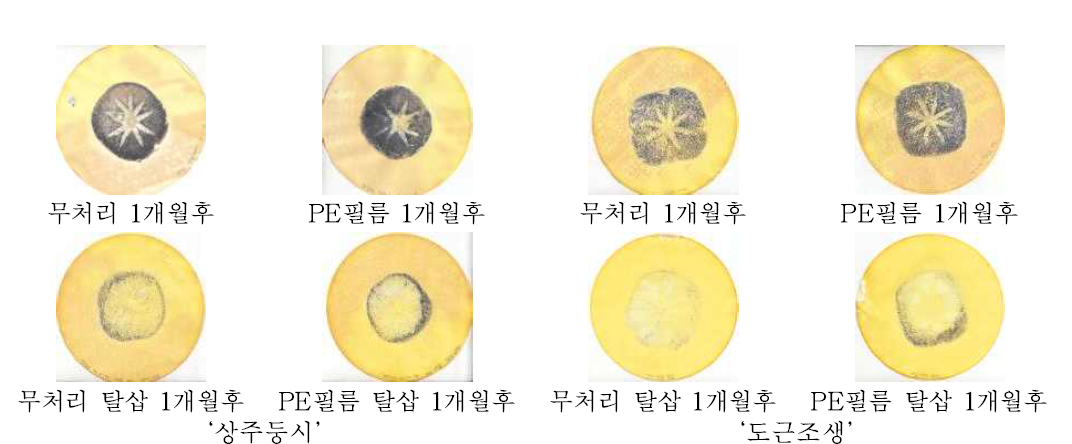 필름포장 처리한 감 과실의 탈삽처리 1개월 후 탈삽 정도