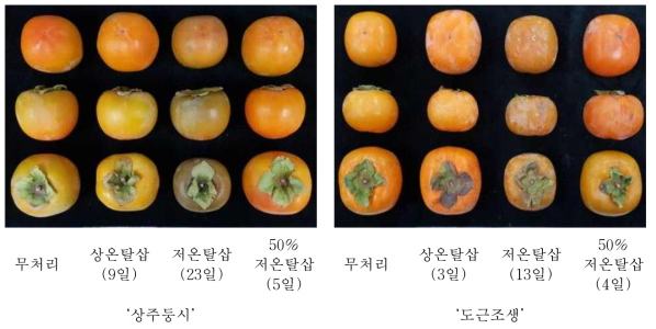 탈삽처리 시작 1개월후 탈삽 방법에 따른 과색의 변화 (탈삽일수)