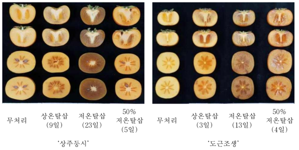 탈삽처리 시작 1개월후 탈삽 방법에 따른 내부 갈변 (탈삽일수)