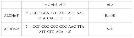 ald6 유전자 동정을 위한 프라이머 서열