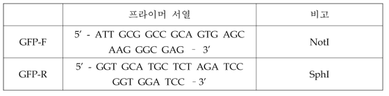 gfp 유전자 동정을 위한 프라이머 서열