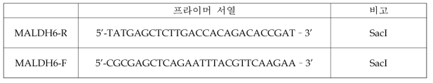 ald6 유전자 동정을 위한 프라이머 서열