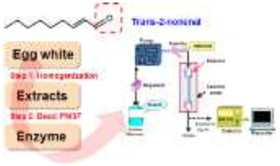 Trans-2-nonenal의 HPLC 분석