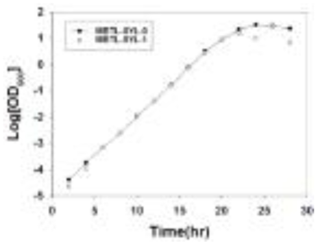 MBTL-SYL-0, MBTL-SYL-1의 성장곡선