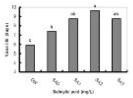 Effect of different salicylic acid (SA) concentrations on the vase life of Yellow Island cut rose flowers. Values labelled with the same letter are not different at the 5% significance level