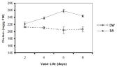 Effect of salicylic acid (SA) on protein content in ‘Yellow Island’ cut rose flowers