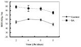 Effect of salicylic acid (SA) on superoxide dismutase (SOD) activity in ‘Yellow Island’ cut rose flowers