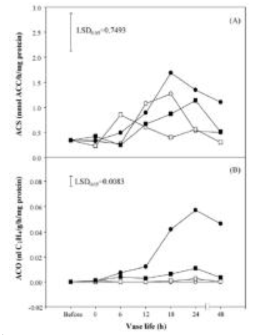 The rate of carbon dioxide production (A), ethylene production (B) and petal ACC levels (C) in bud-cut lotus flowers (Nelumbo nucifera cv. Saddhabutra, probably identical to cv. Album Plenum) placed in distilled water at 25 ◦C. In (B) and (C), flowers were controls (○), were treated with 500 nL/L of 1-MCP for 3 h prior to vase life (□), stood in vase water containing 200 mg/L ethephon at the onset of vase life (●), or were treated with 500 nL/L of 1-MCP for 3 h followed by the inclusion of ethephon in the vase water (■)