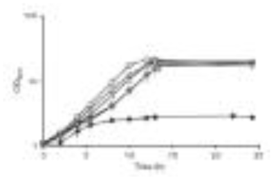 C. glutamicum 돌변변이에서의 포름알데히드 분해