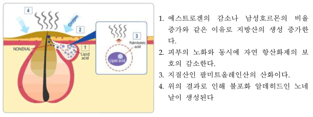 노네날의 생성 과정