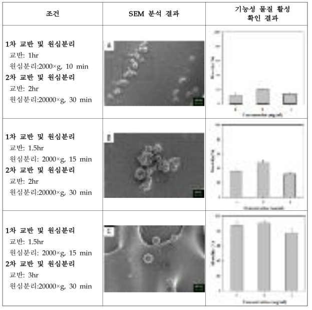 각 분리 조건에서의 활성 비교 분석 결과