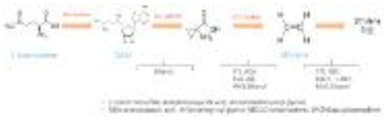 Ethylene 생성 기작 및 각 단계에서 사용되는 절화 선도 유지제의 종류