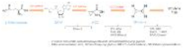 Ethylene 생성 단계에 따른 선도 유지제