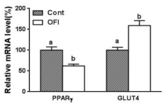 보검선인장 추출물이 PPARγ 및 GLUT4 mRNA 발현에 미치는 영향