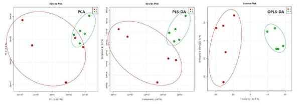 (LC-MS) MeOH 추출법 결과의 PCA, PLS-DA, OPLS-DA 플롯