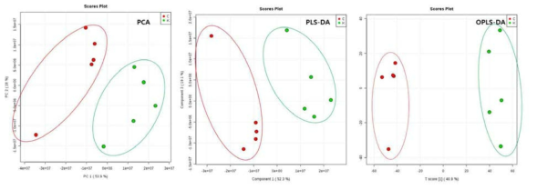 (LC-MS) 고온의 75% Isopropanol 추출법 결과의 PCA, PLS-DA, OPLS-DA 플롯