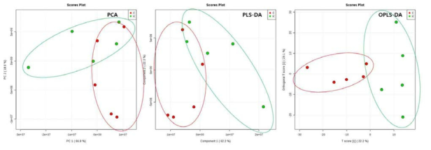 (LC-MS) Hexane 추출법 결과의 PCA, PLS-DA, OPLS-DA 플롯