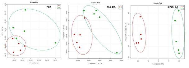 (GC-MS) MeOH + 0.1% HCl 추출법 결과의 PCA, PLS-DA, OPLS-DA 플롯